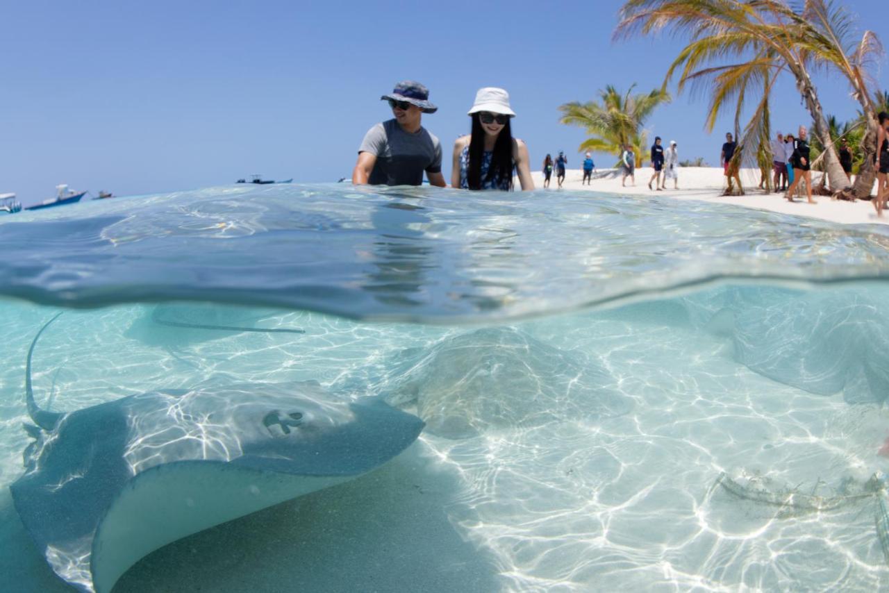 Crystal Sands Maafushi Exterior photo